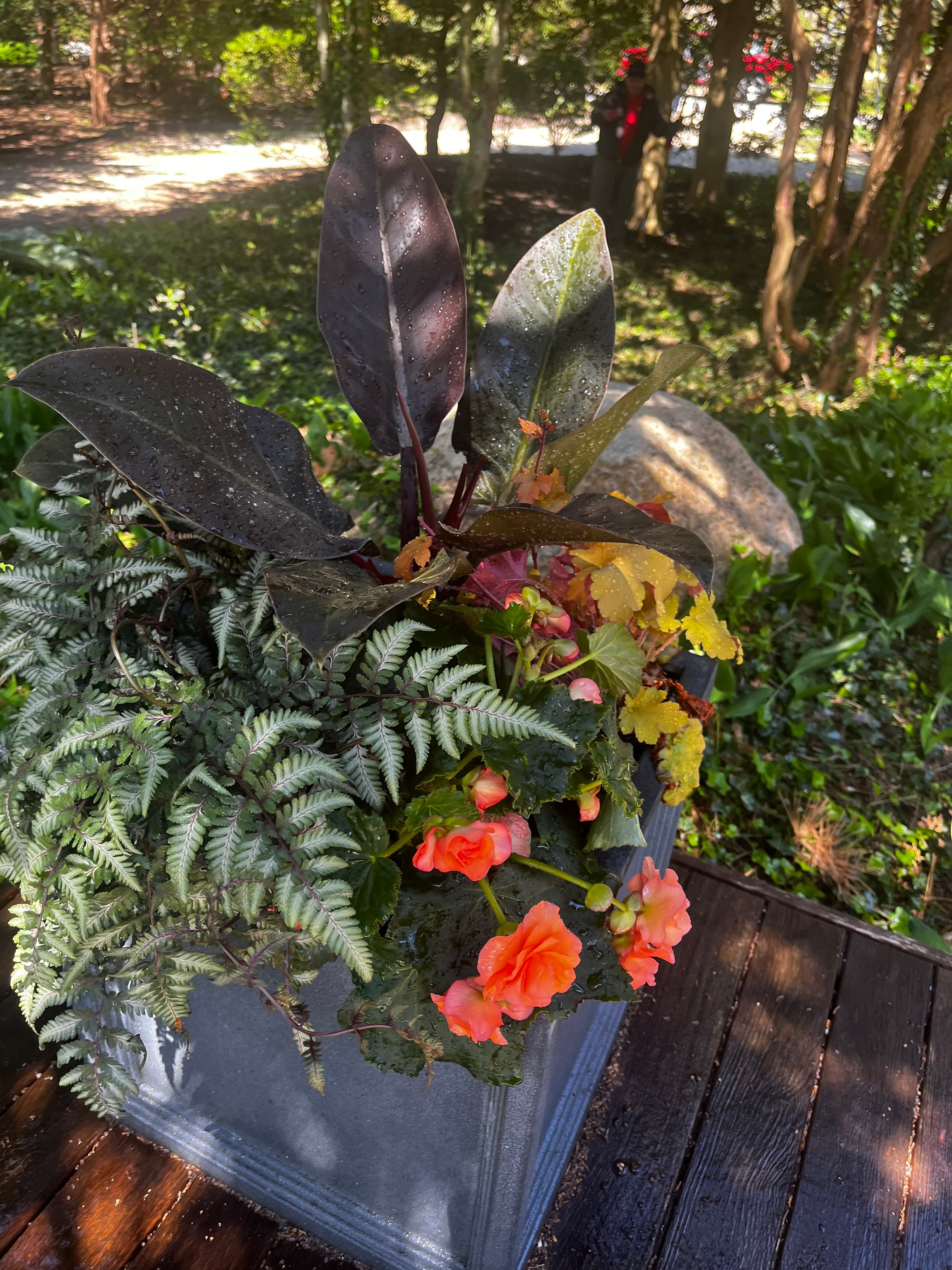 Fall window box arrangement